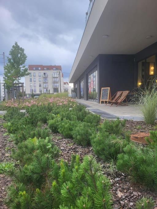Olive Tree Apartment - Klimatyzacja - Air Conditioning-Self-Check-In Katowice Esterno foto